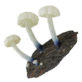 Nature Techni colour MONO PLUS Glowing mushroom magnet [5.Konrurikyobantake]