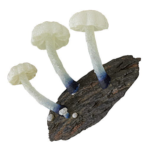 Nature Techni colour MONO PLUS Glowing mushroom magnet [5.Konrurikyobantake]