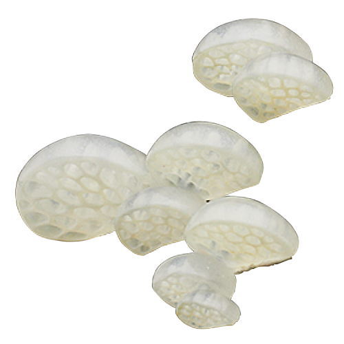 Nature Techni colour MONO PLUS Glowing mushroom magnet [6.Enashirasshitake]