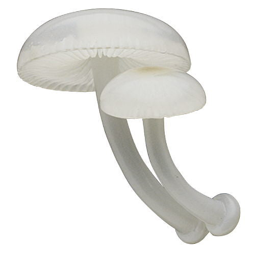 Nature Techni colour MONO PLUS Glowing mushroom magnet [7.Yakotake]