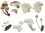 Nature Techni colour MONO PLUS Glowing mushroom magnet [All 8 type set(Full Complete)]