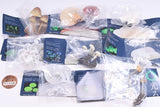 Nature Techni colour MONO PLUS Glowing mushroom magnet [All 8 type set(Full Complete)]
