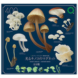 Nature Techni colour MONO PLUS Glowing mushroom magnet [All 8 type set(Full Complete)]