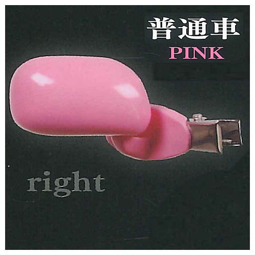 Side mirror hair clip [5.Pink Right]