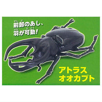 Konchu no Mori Detazo! The four major insects [1.Atlas beetle]