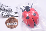 Konchu no Mori Detazo! The four major insects [4.Seven spotted ladybird]