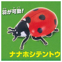 Konchu no Mori Detazo! The four major insects [4.Seven spotted ladybird]