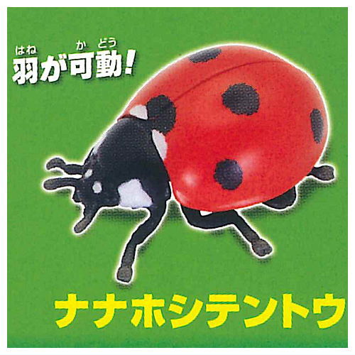 Konchu no Mori Detazo! The four major insects [4.Seven spotted ladybird]