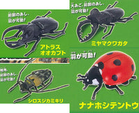 Konchu no Mori Detazo! The four major insects [All 4 type set(Full Complete)]