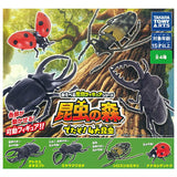 Konchu no Mori Detazo! The four major insects [All 4 type set(Full Complete)]
