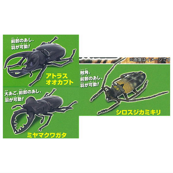 Konchu no Mori Detazo! The four major insects [Assorted 3 type set (1.Atlas beetle/2.Miyama stag beetle/3.White striped longhorn beetle)]
