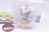 Petit Figure Collection Kirakira Cactus Part.2 [1.A]