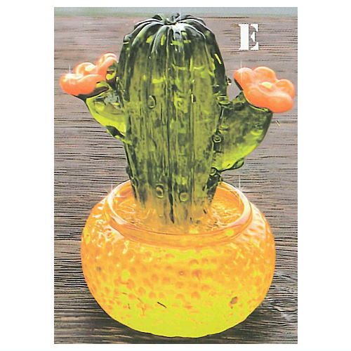 Petit Figure Collection Kirakira Cactus Part.2 [5.E]