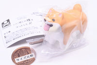 Animal Attraction Iikanjinobowo getshita inu [1.Iikanjinobowo getshita Shibainu]