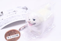 Animal Attraction Iikanjinobowo getshita inu [3.Iikanjinobowo getshita Pekingese]
