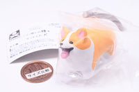 Animal Attraction Iikanjinobowo getshita inu [4.Iikanjinobowo getshita Corgi]