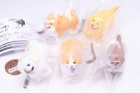 Animal Attraction Iikanjinobowo getshita inu [All 5 type set(Full Complete)]
