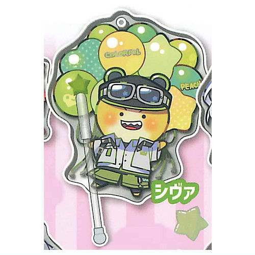 Decora PIC Acrylic Colorful Peach [5.Siva]