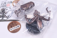 Capsule Q Japanese Budda Statue Collection Kai [4.Ashura (Wood carving type)]