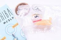 Shibanban Mejirushi Accessory [4.Mayu Shibanban]