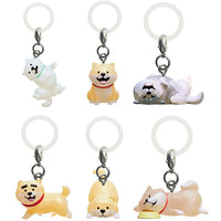 Shibanban Mejirushi Accessory [All 6 type set(Full Complete)]