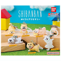 Shibanban Mejirushi Accessory [All 6 type set(Full Complete)]