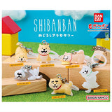 Shibanban Mejirushi Accessory [All 6 type set(Full Complete)]