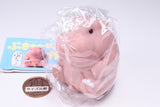 Pukyu-to! Hippopotamus [3.Steak]
