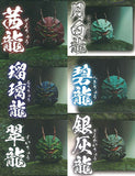 Mariryu [All 6 type set(Full Complete)]