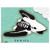Dinosaur Plush Toy Fossil Version [4.Pteranodon]