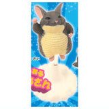 Meetissai Chinchilla with dignity Part.2 [1.Jump]