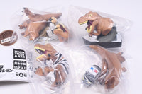 Jurassic Park T.REX Ippai Collection [All 4 type set(Full Complete)]