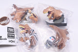 Jurassic Park T.REX Ippai Collection [All 4 type set(Full Complete)]