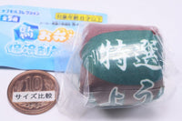 Hinyari Lunch box Ice pack case [1.Soy sauce]