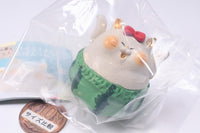 Nyanke no Danran fukufukumanmaru opantsu neko-san [4.Watermelon opantsu neko-san]