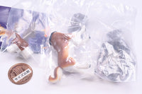 Ginga Nagareboshi Gin Figure Collection Vol.2 [1.Riki + Akakabuto (Right Foot, Pedestal)]