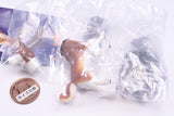 Ginga Nagareboshi Gin Figure Collection Vol.2 [1.Riki + Akakabuto (Right Foot, Pedestal)]