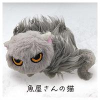 Natsukanaineko Plush Toy [4.Sakanayasan no neko]