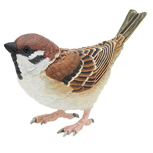 Nature of Japan Japanese Creatures 03 [2.Passer montanus]