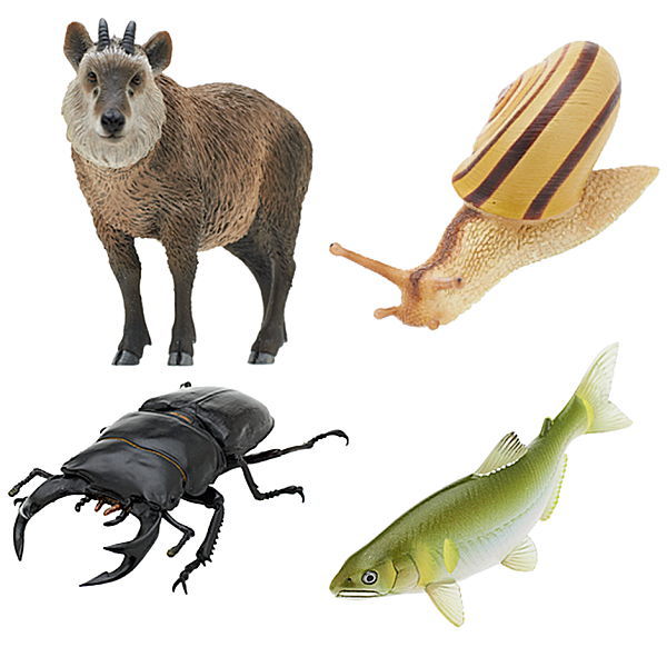 Nature of Japan Japanese Creatures 03 [Assorted 4 type set (1.Capricornis crispus/3.Dorcus hopei binodulosus/4.Euhadra peliomphala/5.Plecoglossus altivelis)]
