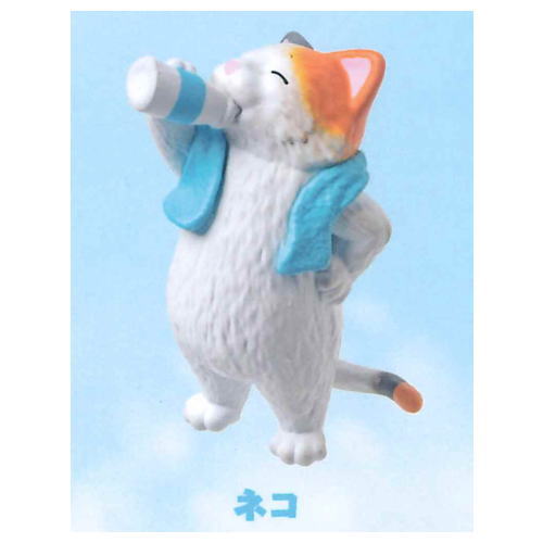Totonoimashita. [4.Cat]