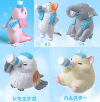 Totonoimashita. [All 5 type set(Full Complete)]