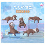 Fuchiyasumi Kotsumekawauso [All 5 type set(Full Complete)]