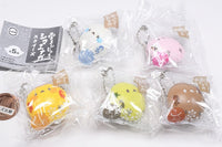 Yukimanju shimaenaga squeeze [All 5 type set(Full Complete)]