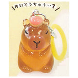 Waiwai Kapigurashi Clear Mejirushi Charm [4.Meisochu...?]