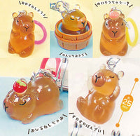 Waiwai Kapigurashi Clear Mejirushi Charm [All 5 type set(Full Complete)]