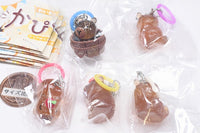 Waiwai Kapigurashi Clear Mejirushi Charm [All 5 type set(Full Complete)]