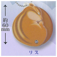 Onemuri Comb [1.Squirrel]