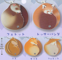 Onemuri Comb [All 5 type set(Full Complete)]
