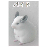 Mark Crown Chinchilla Flocky Mascot [2.Pied]